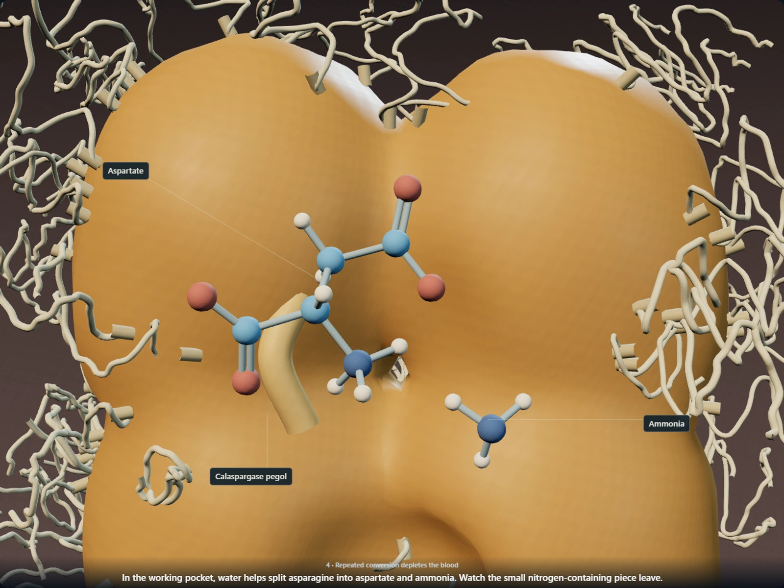 Poster for How calaspargase pegol keeps its protective coat on for longer while it strips asparagine from the blood
