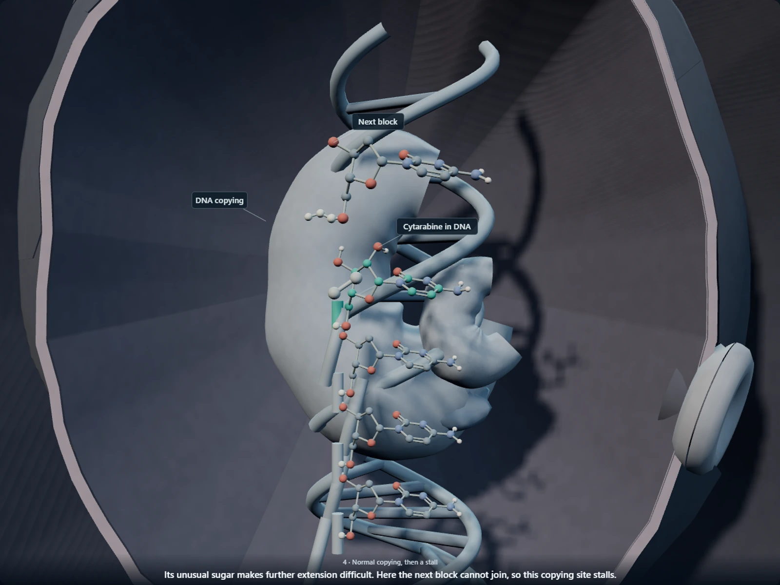 Poster for How cytarabine disguises itself as a DNA building block and jams the copier