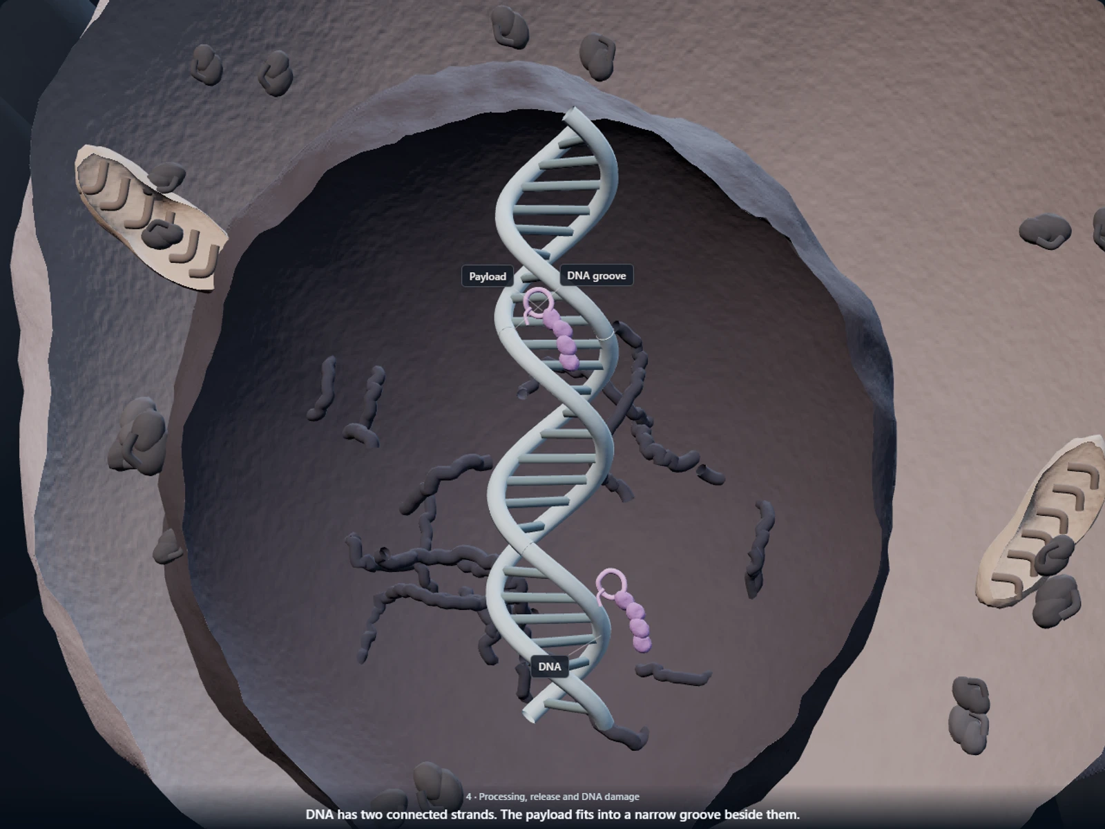 Poster for How inotuzumab rides a leukemia cell's own recycling system to deliver a DNA-cutting payload inside it