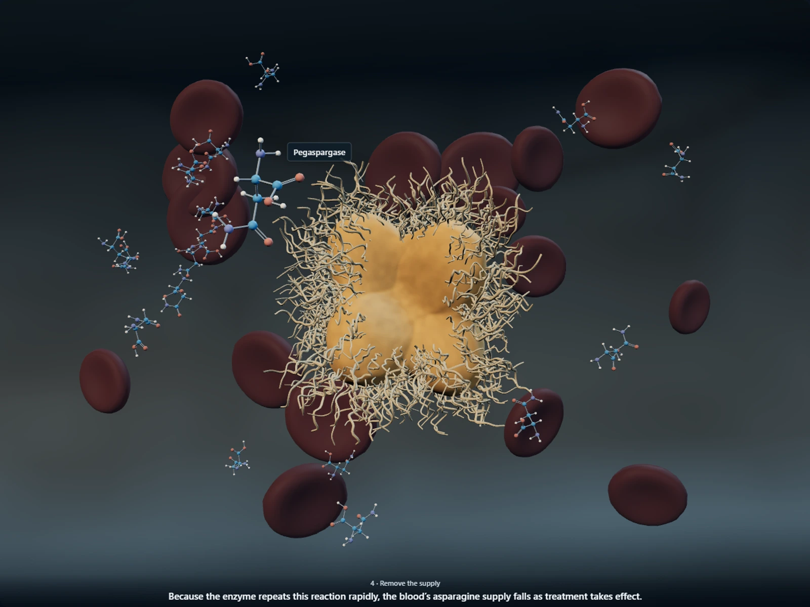Poster for How pegaspargase starves leukemia cells of a building block they cannot make